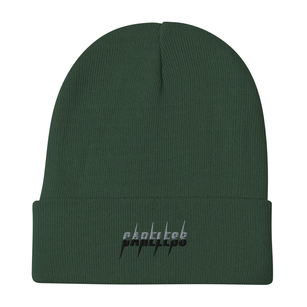 Careless Embroidered Beanie